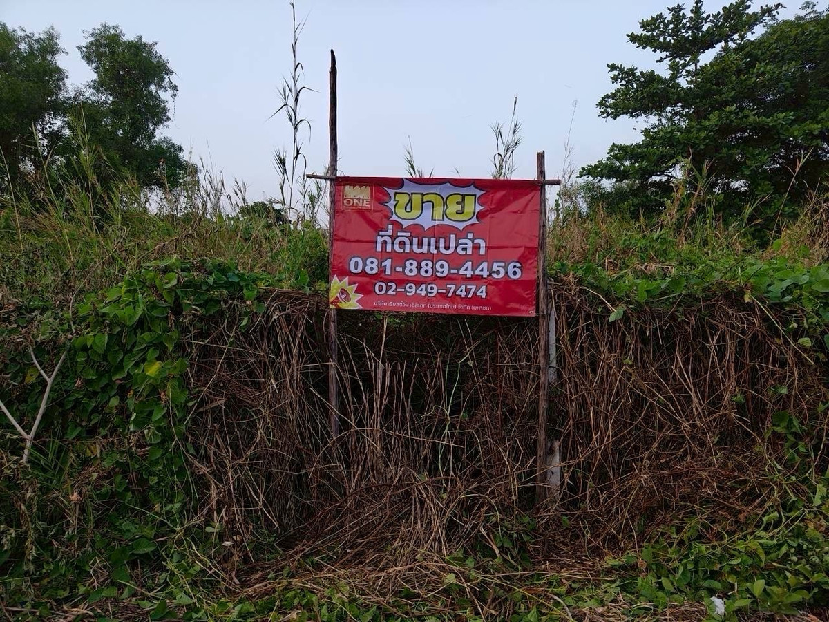 ขายที่ดินมีนบุรี-ร่มเกล้า : ที่ดินเปล่าจัดสรร หมู่บ้านฟลอราวิลล์ พาร์ค ซิตี้ ซอย สุวินทวงศ์38 (ขายถูกกว่าราคาประเมิน)