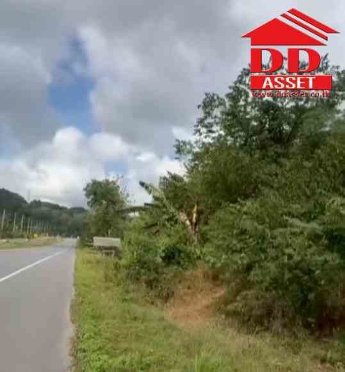 ขายที่ดินนครศรีธรรมราช : ขายที่ดินติดถนนเอเซีย 5-3-5 ไร่ จ.นครศรีธรรมราช ช่องเขาถ้ำใหญ่ รหัสทรัพย์ : L8060