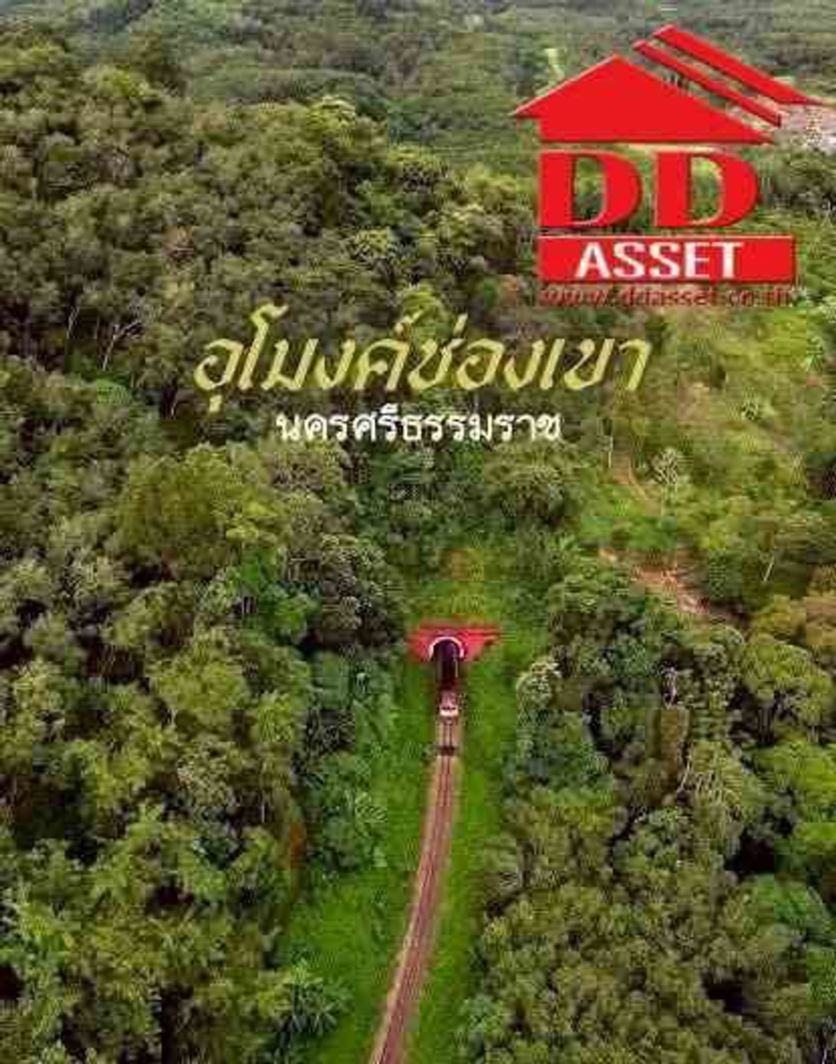 For SaleLandNakhon Si Thammarat : Land for sale next to Asia Road, 5-3-5 rai, Nakhon Si Thammarat Province. Tham Yai Gorge Asset Code: L8060