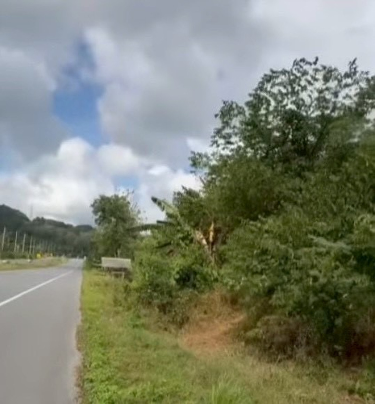 ขายที่ดินนครศรีธรรมราช : ขายที่ดินติดถนนเอเซีย 5-3-5 ไร่ จ.นครศรีธรรมราช ช่องเขาถ้ำใหญ่ รหัสทรัพย์ : L8060