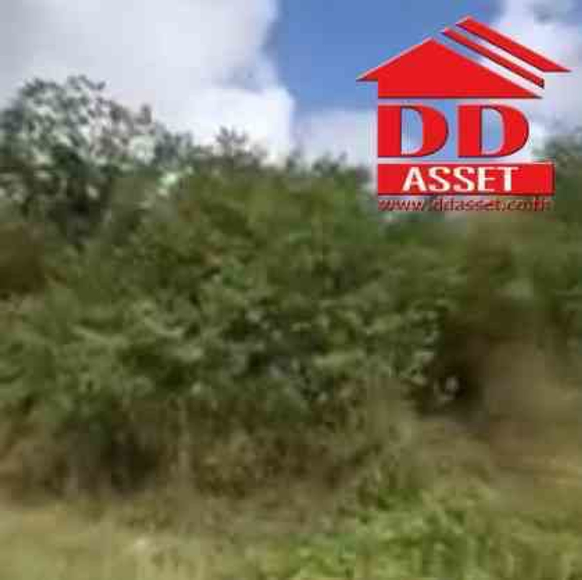 ขายที่ดินนครศรีธรรมราช : ขายที่ดินติดถนนเอเซีย 5-3-5 ไร่ จ.นครศรีธรรมราช ช่องเขาถ้ำใหญ่ รหัสทรัพย์ : L8060