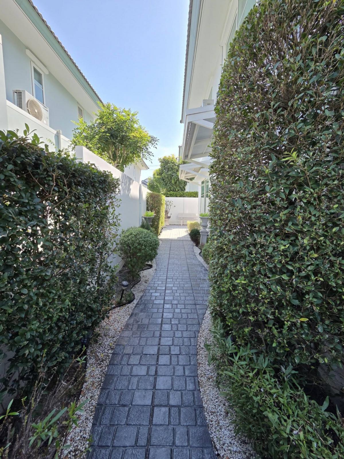 For SaleHousePathum Thani,Rangsit, Thammasat : hum Thani , CX-149062