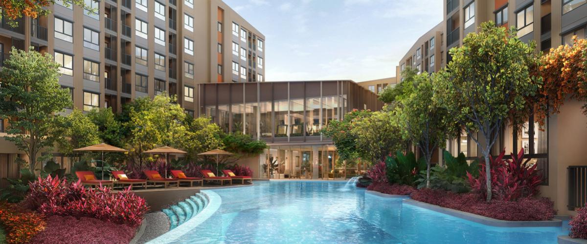 For SaleCondoPhuket : For Sale Condo , d condo cove , Kathu , Kathu , Phuket , CX-148409