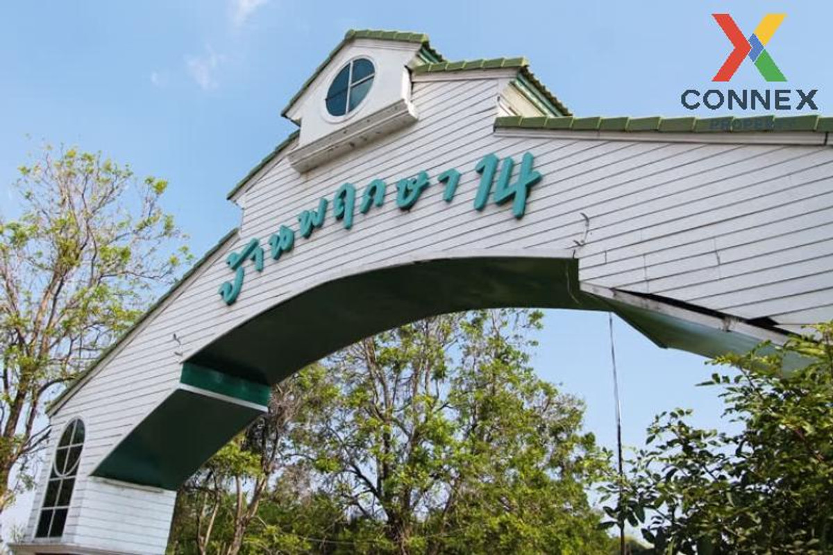 ขายบ้านนนทบุรี บางใหญ่ บางบัวทอง : ขายบ้าน บ้านพฤกษา 14 เอ บางบัวทอง ห้องมุม รีโนเวทใหม่ บางคูรัด บางบัวทอง นนทบุรี CX-148958