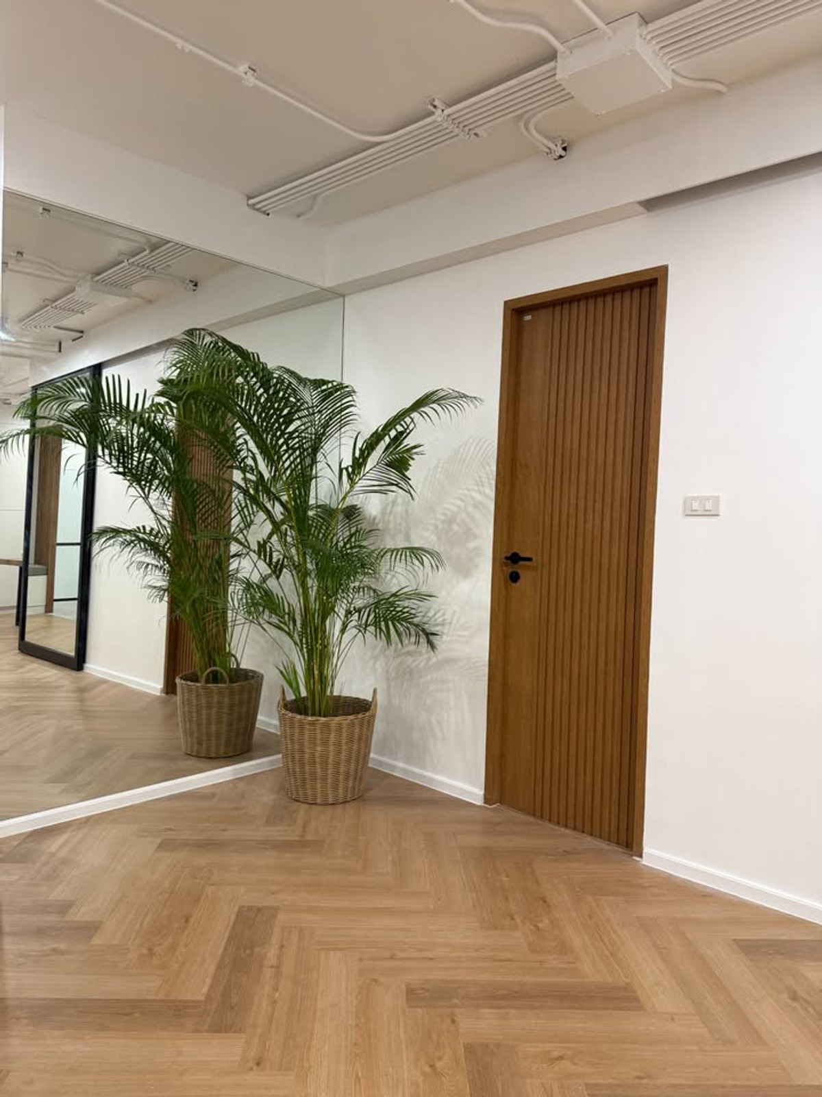 For RentCondoSukhumvit, Asoke, Thonglor : ✨Condo for Rent : Richmond Palace Condominium (AP-02) ( line : @condo91 )