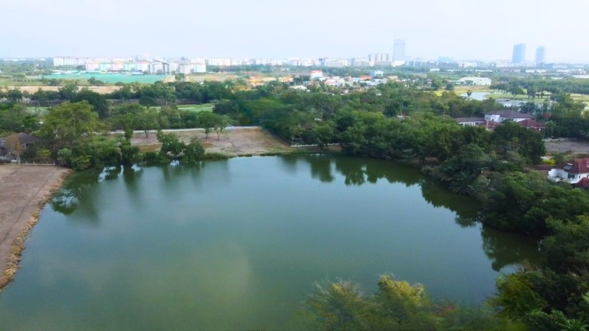 ขายที่ดินปทุมธานี รังสิต ธรรมศาสตร์ : ที่ดินสำหรับสร้างบ้าน ต่ำกว่าประเมิน สนามกอล์ฟไพน์เฮิรสท์️ คลองหลวง ปทุมธานี