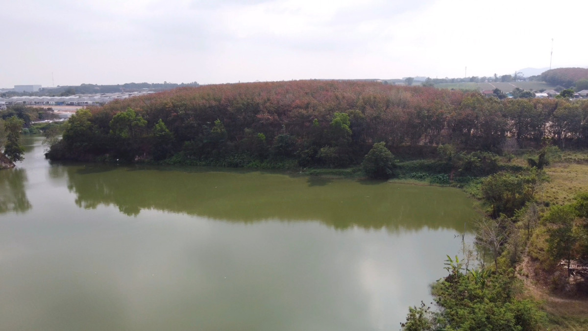 HouseRayong : 🏡 One-story detached house next to a canal, friendly price, close to nature. Line @bzprOperty