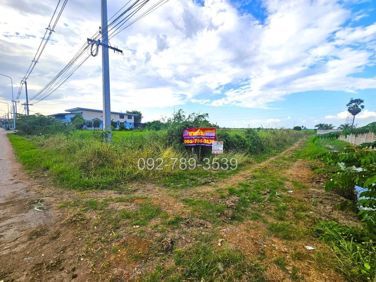 For SaleLandChai Nat : Land for sale in Chainat, 25-3-21 rai, Khung Samphao, near the Provincial Electricity Authority. Manorom District Branch
