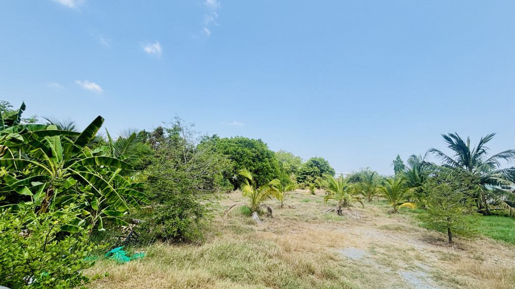 ขายที่ดินราษฎร์บูรณะ สุขสวัสดิ์ : ขาย ที่ดิน พระประแดง      ถนนสุขสวัสดิ์ เนื้อที่ 10 ไร่ 3 งาน 18.5 ตรว