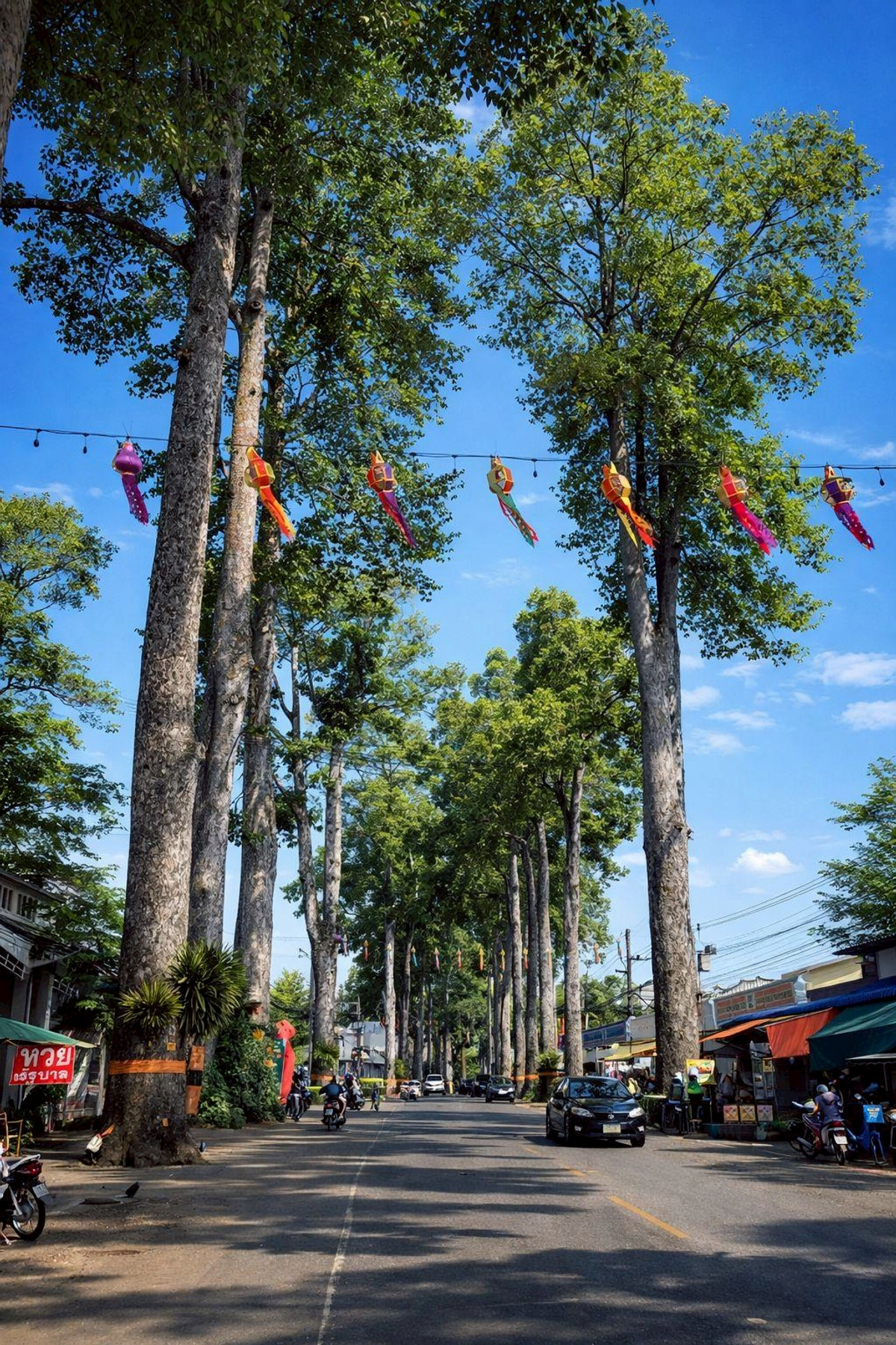 ขายบ้านเชียงใหม่ : 95595 - ขายด่วน! บ้านเดี่ยวหนองผึ้ง สารภี 100 ตรว. เพียง 2.79 ล้าน (ลดจาก 3.2 ล.) ใกล้ถนนต้นยาง 150 ม. น้ำไม่ท่วม!