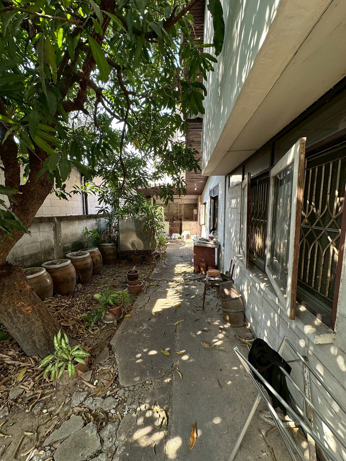 ขายบ้านรามคำแหง หัวหมาก : บ้านเดี่ยว พระราม 9 ซอย 41 แยก 20 (เสรี 9) / 1 ห้องนอน (ขาย), Detached House Rama 9 Soi 41 Yak 20 (Seri 9) / 1 Bedroom (FOR SALE) JANE042