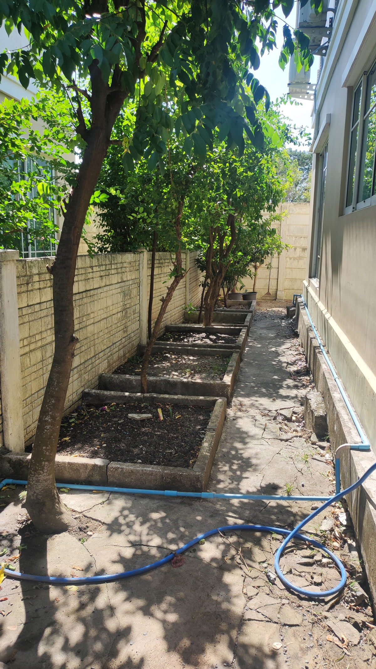 For RentHouseLadkrabang, Suwannaphum Airport : Passorn 21 Rama 9 - Wongwaen / 3 Bedrooms (FOR RENT) BZD030