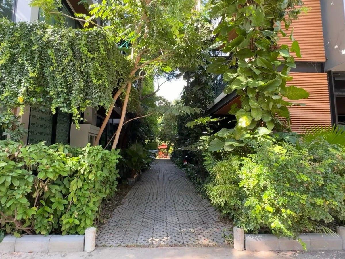 For RentOfficeBangna, Bearing, Lasalle : For rent, good price!!!  Office / 3-story office building ready to use 
 📍Sukhumvit 105 Soi Lasalle, 3-story office, usable area: 590 sq m, number of rooms: 12 with 14 air conditioners, 4 bathrooms, parking for 20 cars.