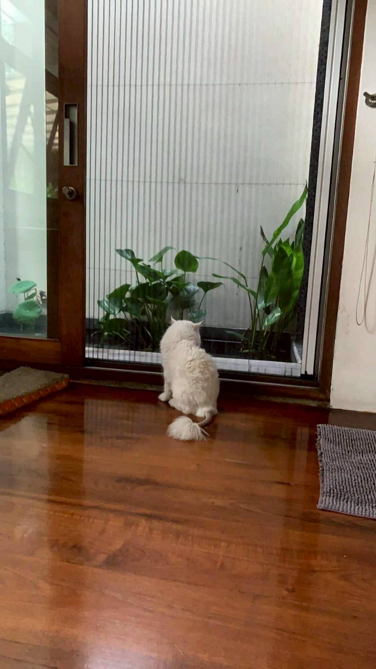 ขายบ้านคลองเตย กล้วยน้ำไท : 285AGFF#ขายบ้านเดี่ยว 2 ชั้น บนที่ดินผืนใหญ่ใจกลางพระราม 4 The New CBD  ทำเลสุดหายาก และคุ้มค่าที่สุด   