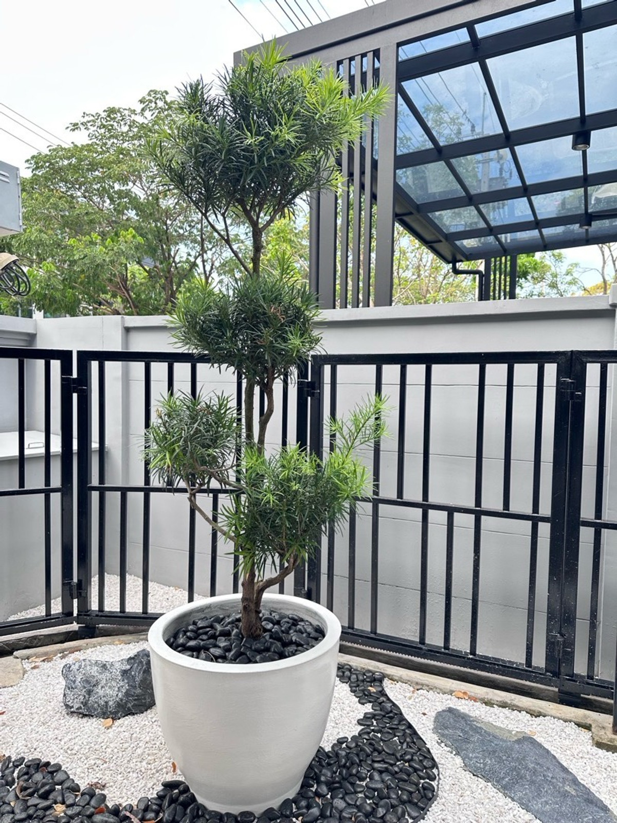 ขายเกษตร นวมินทร์ ลาดปลาเค้า : บ้านแฝด ทำเลเลียบด่วนรามอินทราฯ ซอย โยธินพัฒนา เซ็นทรัลอีส วิลล์ ประดิษฐ์มนูธรรม บ้านใหม่ fullyfurnished  