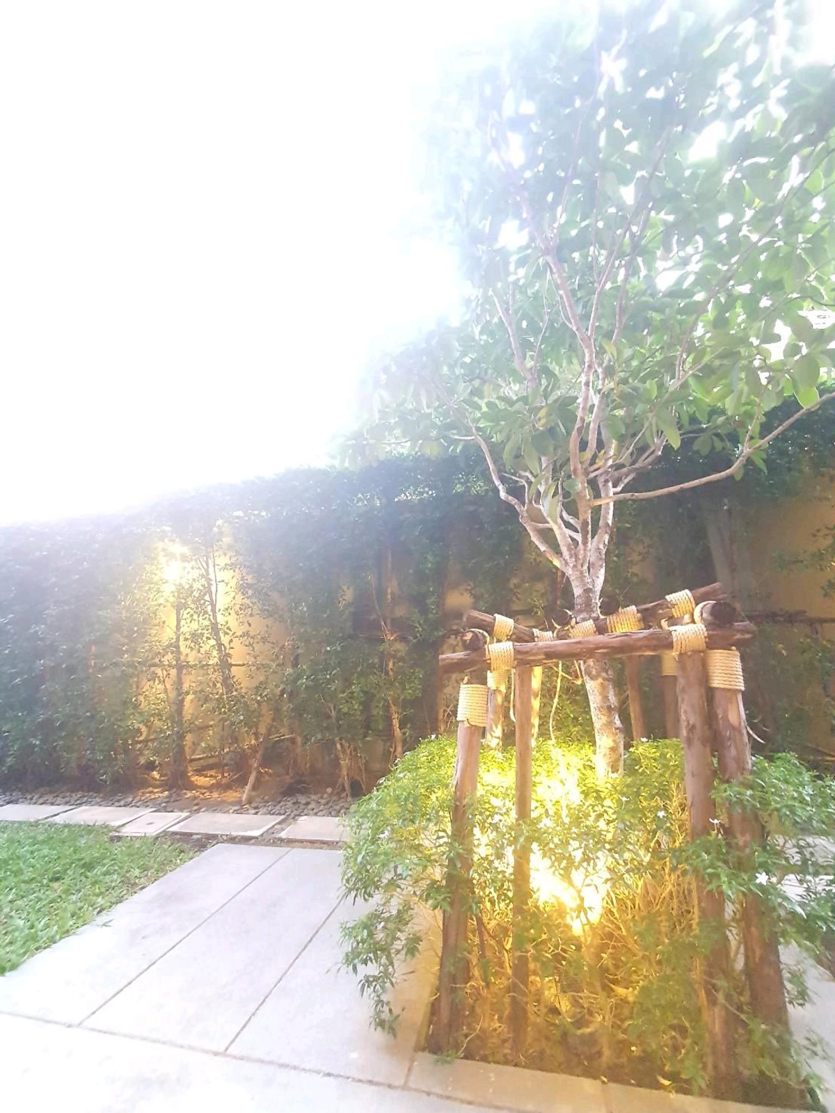 For RentCondoSukhumvit, Asoke, Thonglor : For rent, 2 bedrooms, beautifully decorated, Noble Ambience Sukhumvit 42, near BTS Ekkamai, Gateway Ekamai, owner will let it out himself.