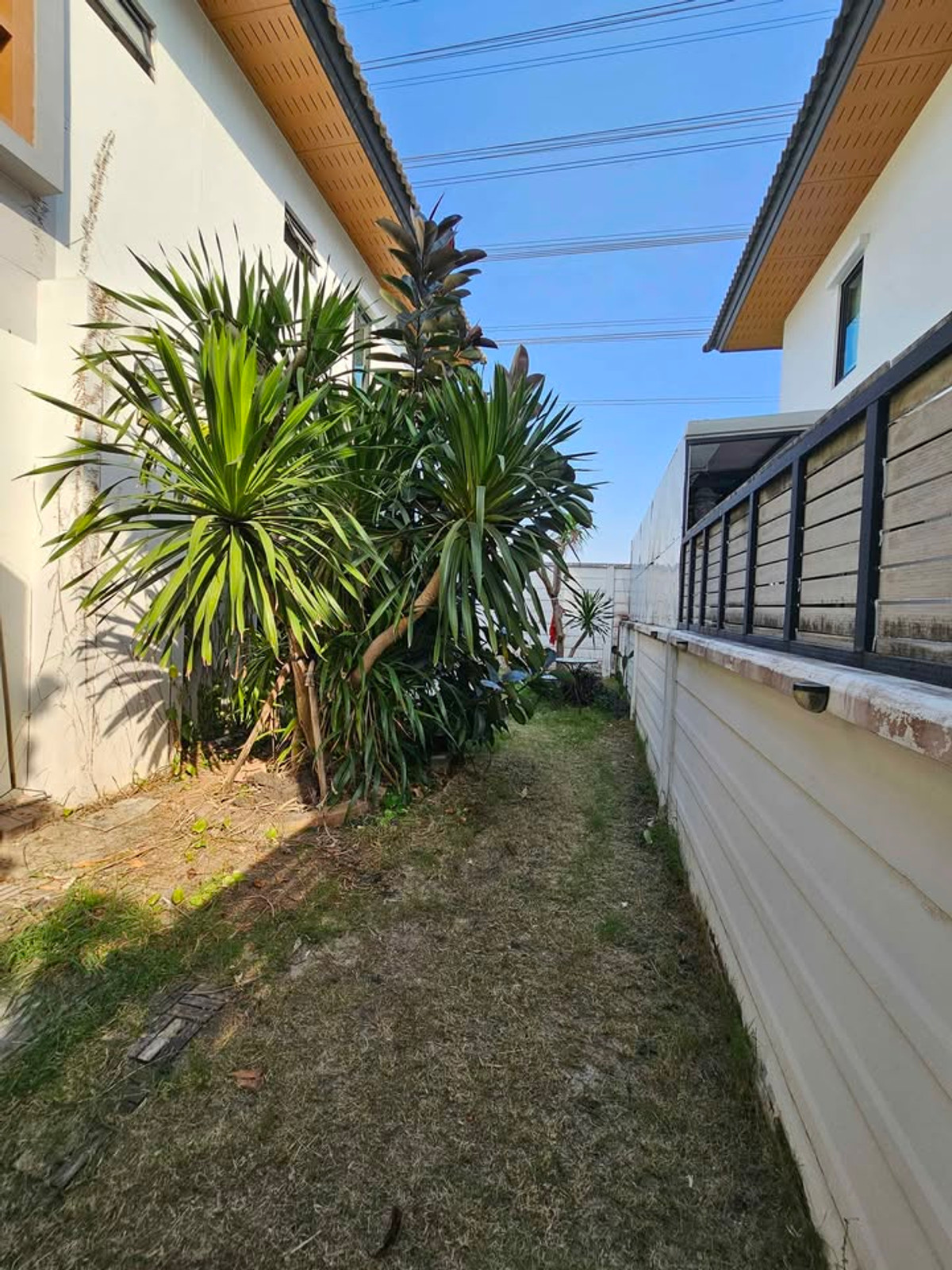 TownhomeBangna, Bearing, Lasalle : For sale/rent🏡✨ Areeya Como Primo – near Mega Bangna