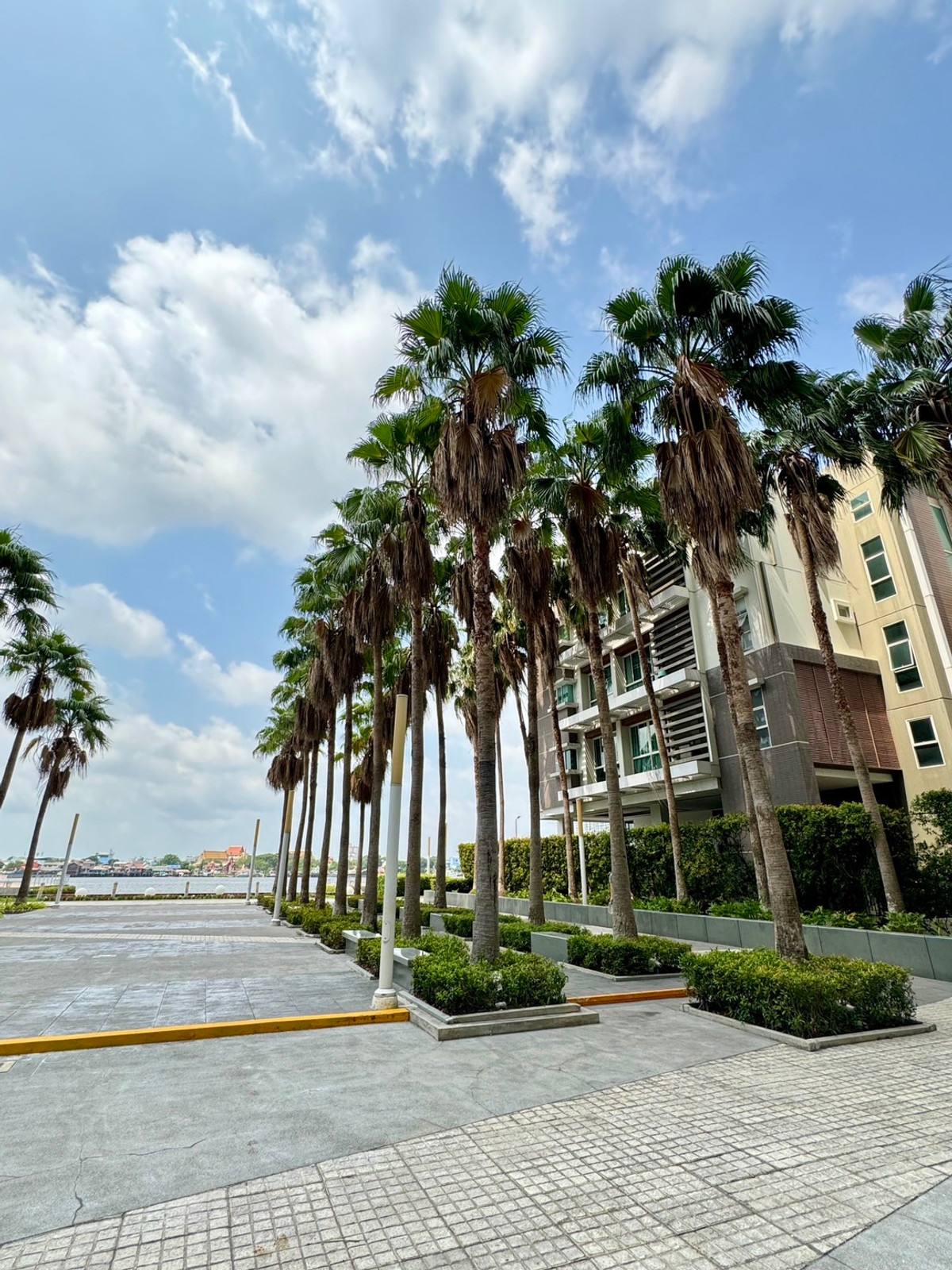 For SaleCondoRama3 (Riverside),Satupadit : River view condo for sale, high floor, price below cost + already rented! Lumpini Park Riverside Rama 3 Project