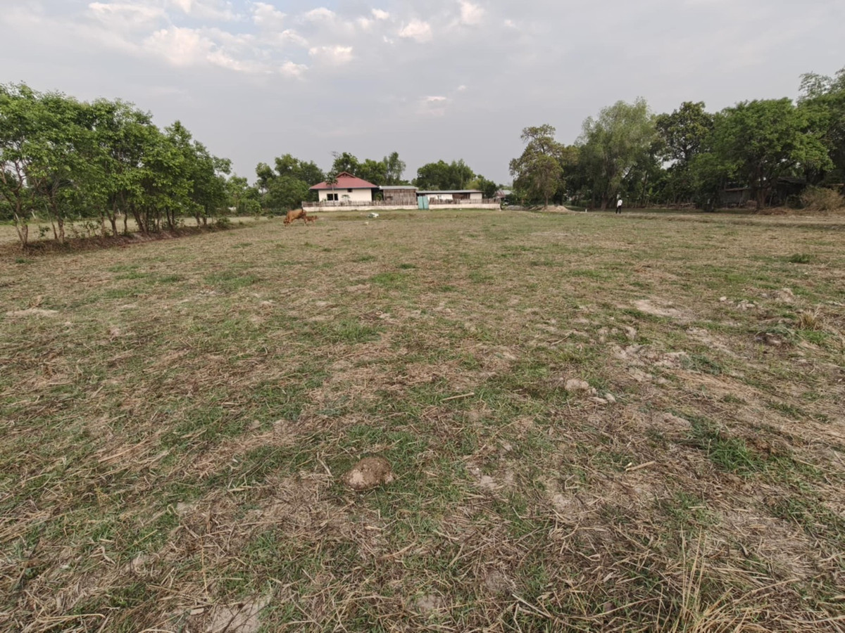 ขายที่ดินอุบลราชธานี : ขายที่ดินแปลงใหญ่ บ้านทุ่งขุนน้อย อุบลราชธานี ** เพียง 1.5 ลบ. ฟรีโอน ** (N.2029)