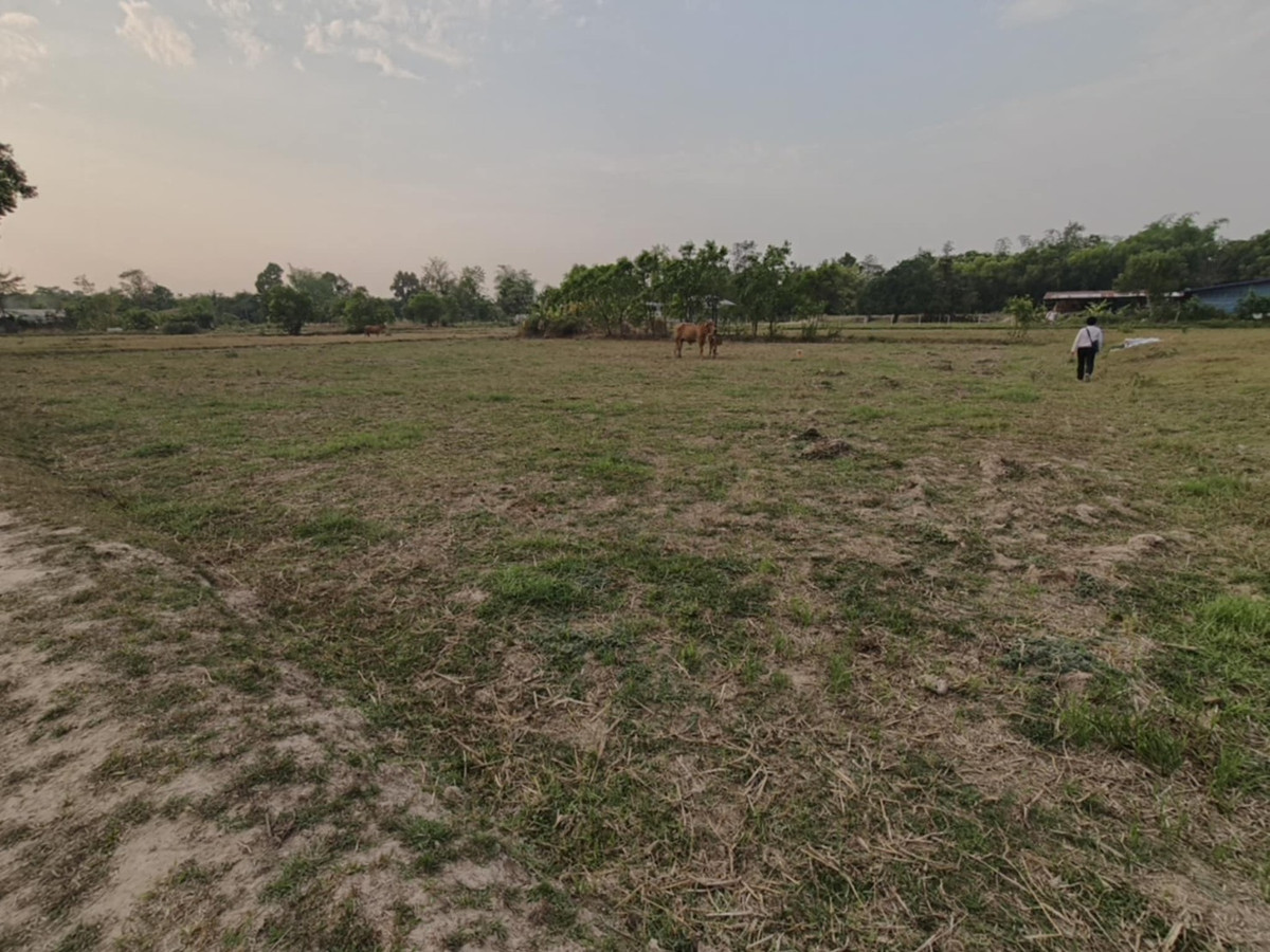 ขายที่ดินอุบลราชธานี : ขายที่ดินแปลงใหญ่ บ้านทุ่งขุนน้อย อุบลราชธานี ** เพียง 1.5 ลบ. ฟรีโอน ** (N.2029)