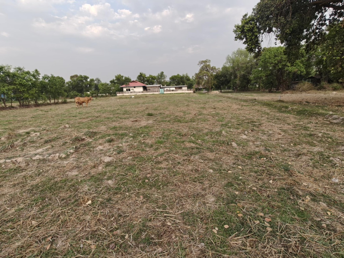 ขายที่ดินอุบลราชธานี : ขายที่ดินแปลงใหญ่ บ้านทุ่งขุนน้อย อุบลราชธานี ** เพียง 1.5 ลบ. ฟรีโอน ** (N.2029)