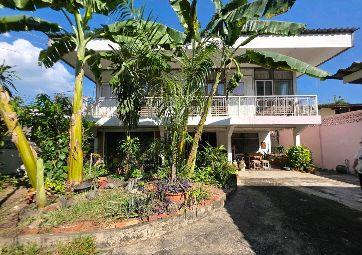 ขายที่ดินสุขุมวิท อโศก ทองหล่อ : #Rareland ใจกลางเอกมัย - ทองหล่อ ที่พร้อมให้คุณพัฒนาศักยภาพของที่ดินแปลงนี้อย่างมีคุณค่ากับพื้นที่ 99 ตรว.หน้ากว้าง 25ม. สนใจนัดชมเพื่อมองเห็นภาพที่จะเป็น 