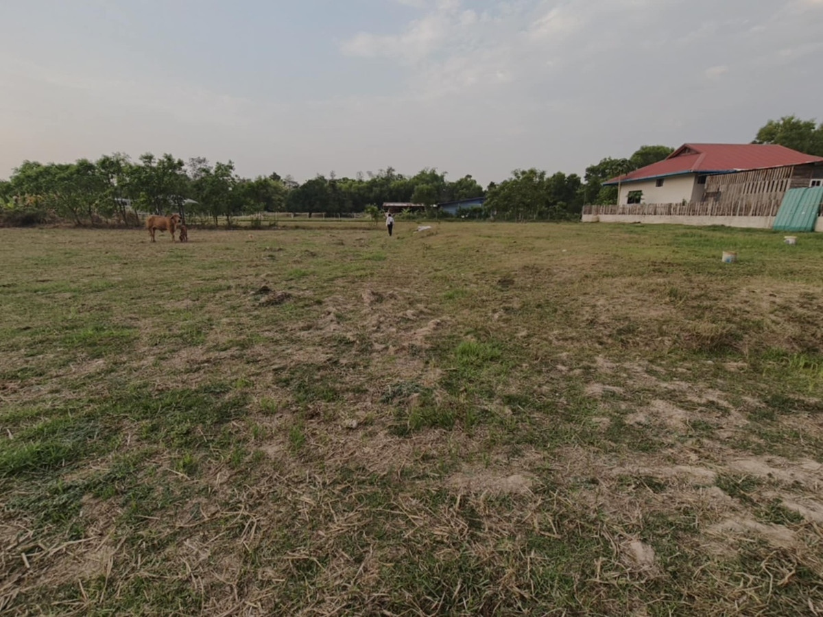 ขายที่ดินอุบลราชธานี : ขายที่ดินแปลงใหญ่ บ้านทุ่งขุนน้อย อุบลราชธานี ** เพียง 1.5 ลบ. ฟรีโอน ** (N.2029)