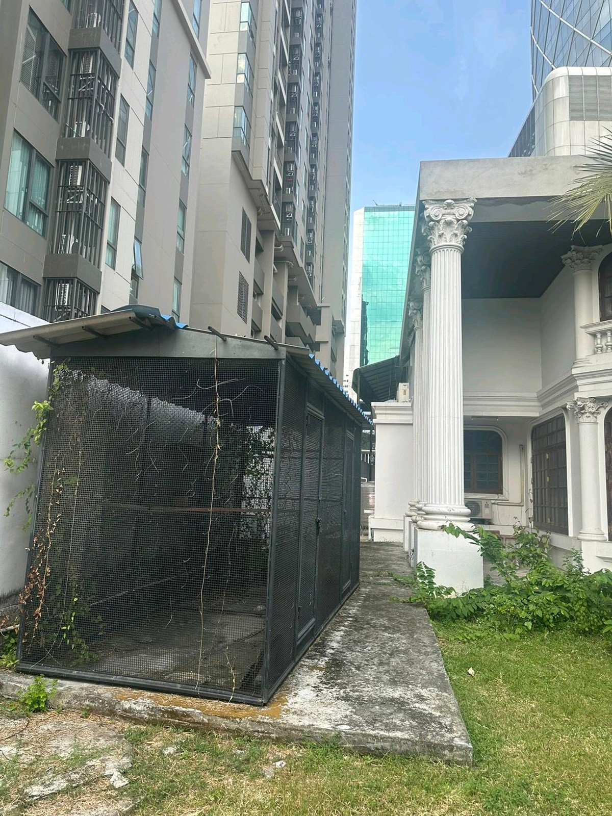 ขายบ้านอารีย์ อนุสาวรีย์ : ⭐️ขายบ้านหรู ซอย ราชครู ⭐️(พหลโยธิน 5) ใกล้ BTS อารีย์ ที่ดิน✅️ 484 ตร.วา พร้อมสระว่ายน้ำ🌟