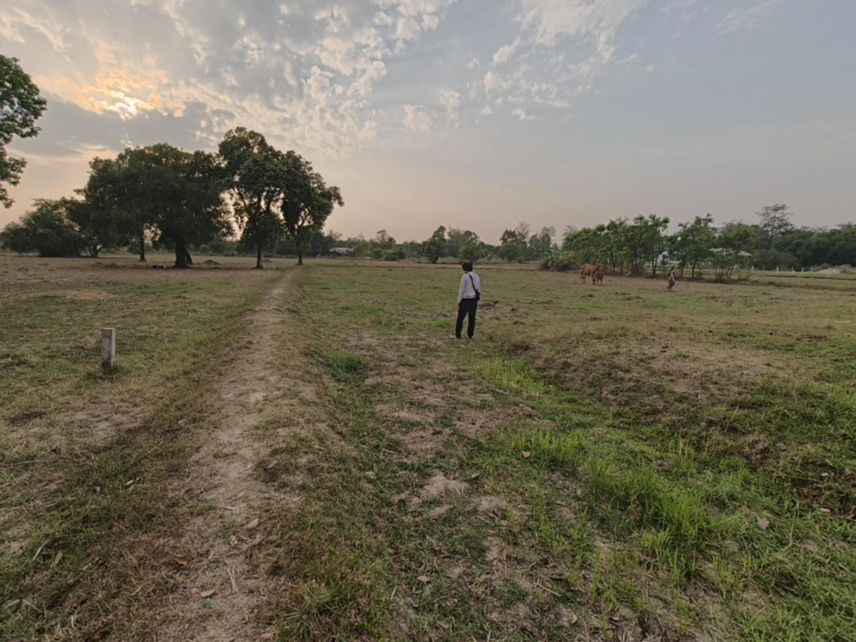 ขายที่ดินอุบลราชธานี : ขายที่ดินแปลงใหญ่ บ้านทุ่งขุนน้อย อุบลราชธานี ** เพียง 1.5 ลบ. ฟรีโอน ** (N.2029)