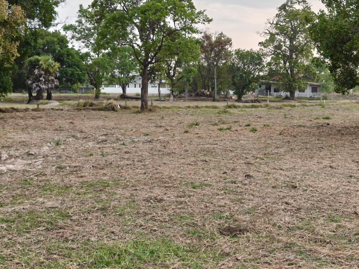 ขายที่ดินอุบลราชธานี : ขายที่ดินแปลงใหญ่ บ้านทุ่งขุนน้อย อุบลราชธานี ** เพียง 1.5 ลบ. ฟรีโอน ** (N.2029)