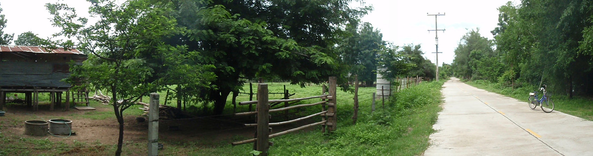 For SaleLandTak : Land for sale, 5.5 rai, can be divided, next to the Ping River, Nong Bua Nuea Subdistrict, Mueang District, Tak Province, near the new bridge beside the Ping River.