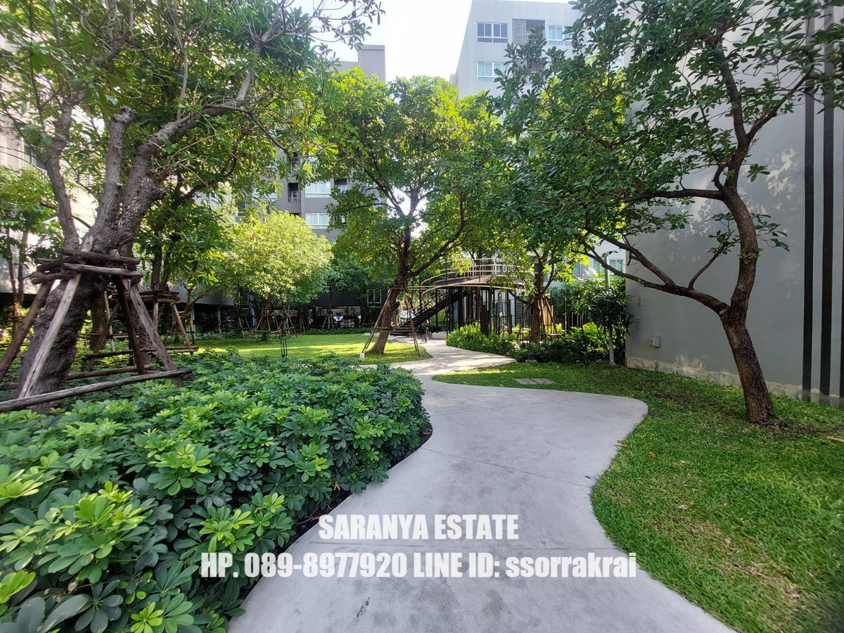 For RentCondoKasetsart, Ratchayothin : Elio Del Moss Phaholyothin 34 46 sqm. 2 bedrooms, 1 bathroom, pool view, rent 20,000 baht Agent Saranya 0898977920 Line ID ssorrakrai Elio Del Moss Phaholyothin 34 2 bedrooms 1 bathroom for rent 46 Sqm. 2 bedrooms 1 bathroom swimming pool view Bht. 2 
 
