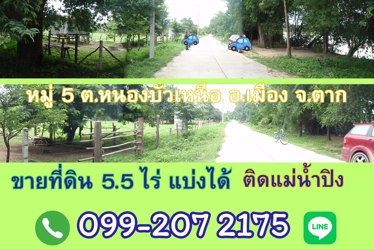 For SaleLandTak : ขายที่ดิน 5.5ไร่ แบ่งได้ ติดแม่น้ำปิง ตำบลหนองบัวเหนือ อ.เมือง จ.ตาก ใกล้สะพานข้างแม่น้ำปิงแห่งใหม่