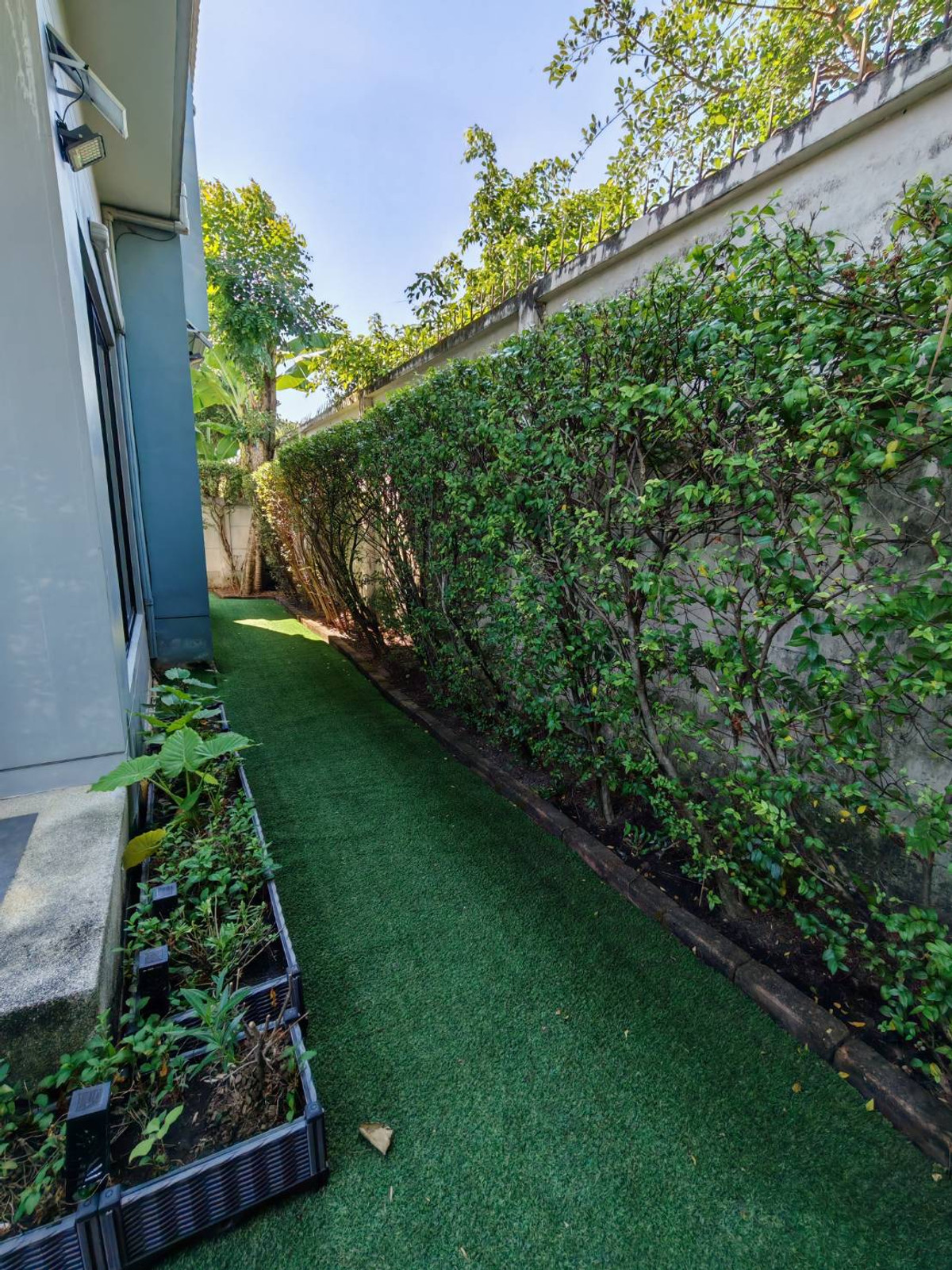 ให้เช่าบ้านนวมินทร์ รามอินทรา : ให้เช่าบ้านเดี่ยว ไลฟ์ บางกอก บูเลอวาร์ด รามอินทรา 65 (53 ตร.ว.) 4 นอน 3 น้ำ แปลงหน้าสวน พร้อมอยู่