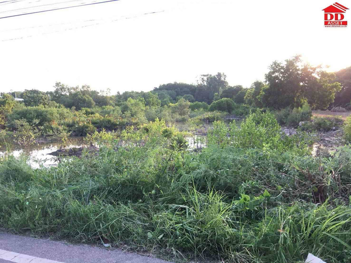 ขายที่ดินจันทบุรี : ขายที่ดิน อำเภอท่าใหม่ จ.จันทบุรี ใกล้หาดเจ้าหลาว เพียง 4 กม. รหัสทรัพย์ : L8061