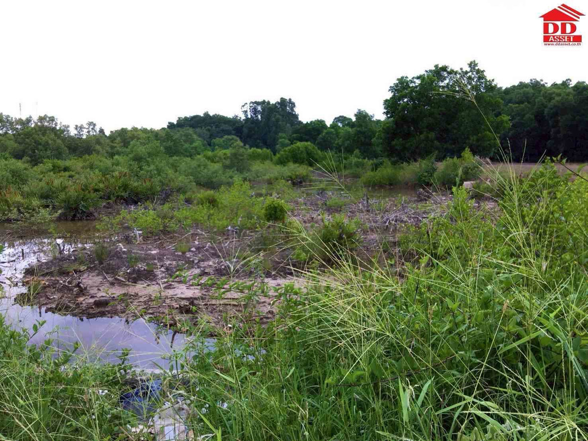 ขายที่ดินจันทบุรี : ขายที่ดิน อำเภอท่าใหม่ จ.จันทบุรี ใกล้หาดเจ้าหลาว เพียง 4 กม. รหัสทรัพย์ : L8061