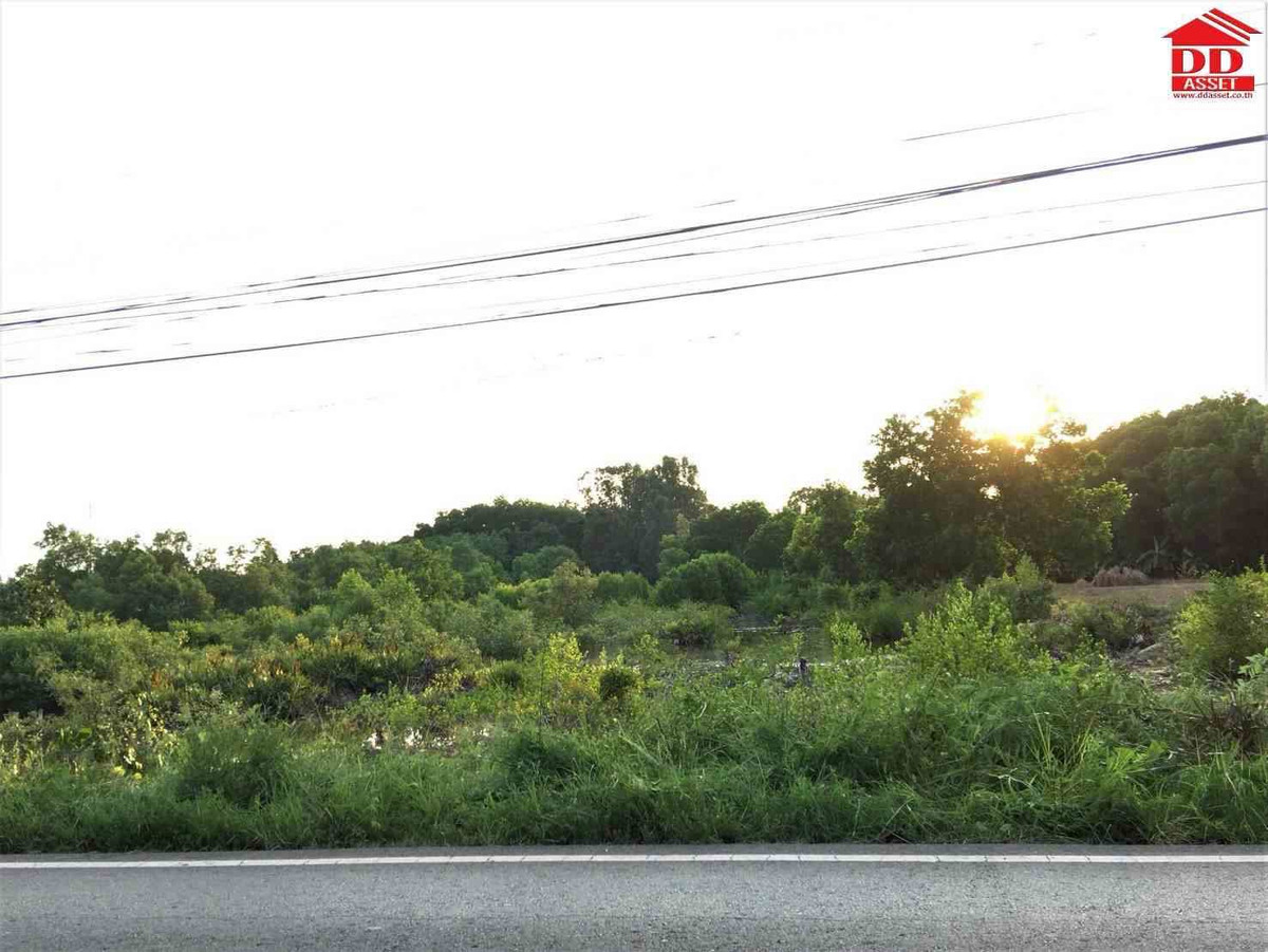 ขายที่ดินจันทบุรี : ขายที่ดิน อำเภอท่าใหม่ จ.จันทบุรี ใกล้หาดเจ้าหลาว เพียง 4 กม. รหัสทรัพย์ : L8061