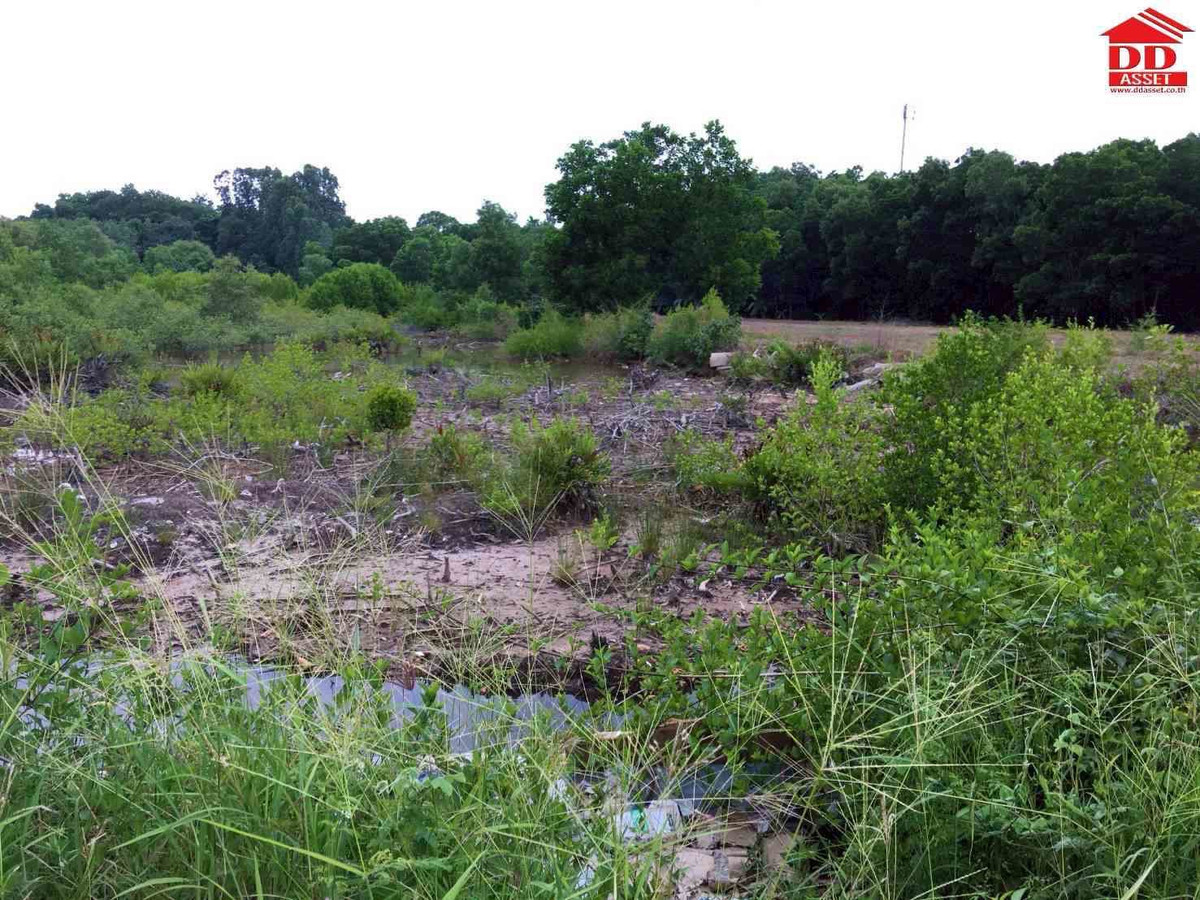 ขายที่ดินจันทบุรี : ขายที่ดิน อำเภอท่าใหม่ จ.จันทบุรี ใกล้หาดเจ้าหลาว เพียง 4 กม. รหัสทรัพย์ : L8061