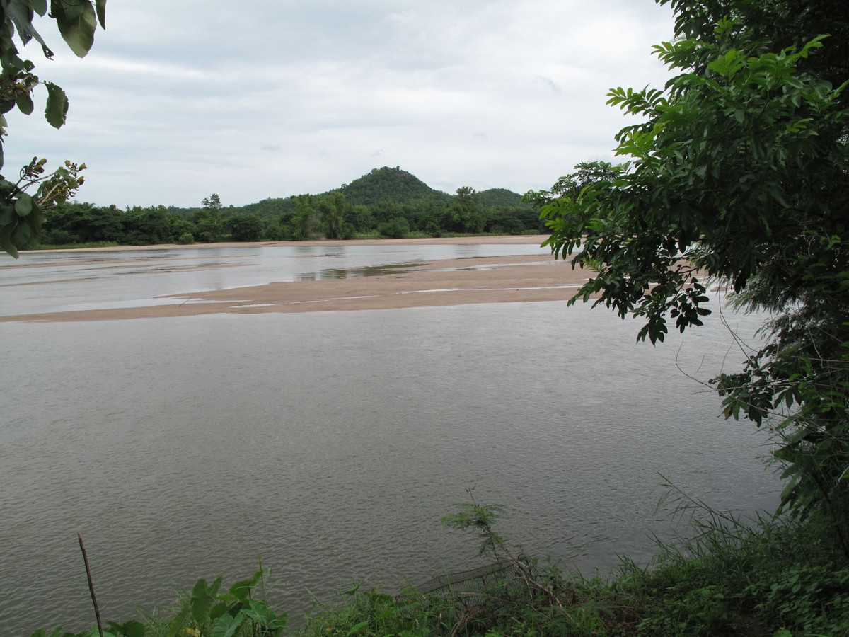 For SaleLandTak : Land for sale, 5.5 rai, can be divided, next to the Ping River, Nong Bua Nuea Subdistrict, Mueang District, Tak Province, near the new bridge beside the Ping River.