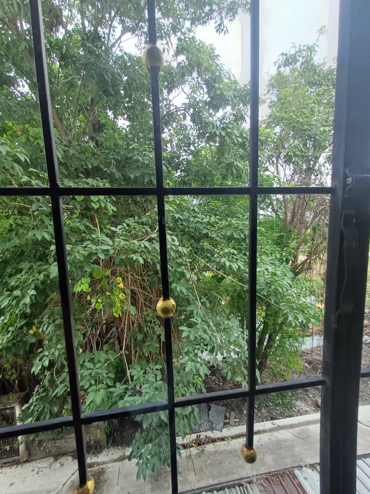 ให้เช่าอาคารพาณิชย์ปทุมธานี รังสิต ธรรมศาสตร์ : ตึก 4 ชั้นให้เช่า รังสิต-คลอง1 | ทำธุรกิจ + อยู่อาศัยได้ในที่เดียว  JSP City | เหมาะทำออฟฟิศ ร้านค้า ครบฟังก์ชัน