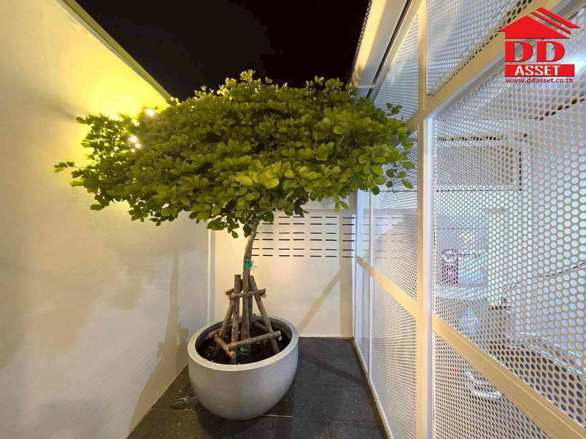 ทาวน์โฮมโชคชัย4 ลาดพร้าว71 : ขาย / ให้เช่า ทาวน์เฮาส์ 2 ชั้น โชคชัย 4 ซอย 55 รีโนเวทใหม่ เฟอร์นิเจอร์ครบ พร้อมอยู่ รหัสทรัพย์ : T8238