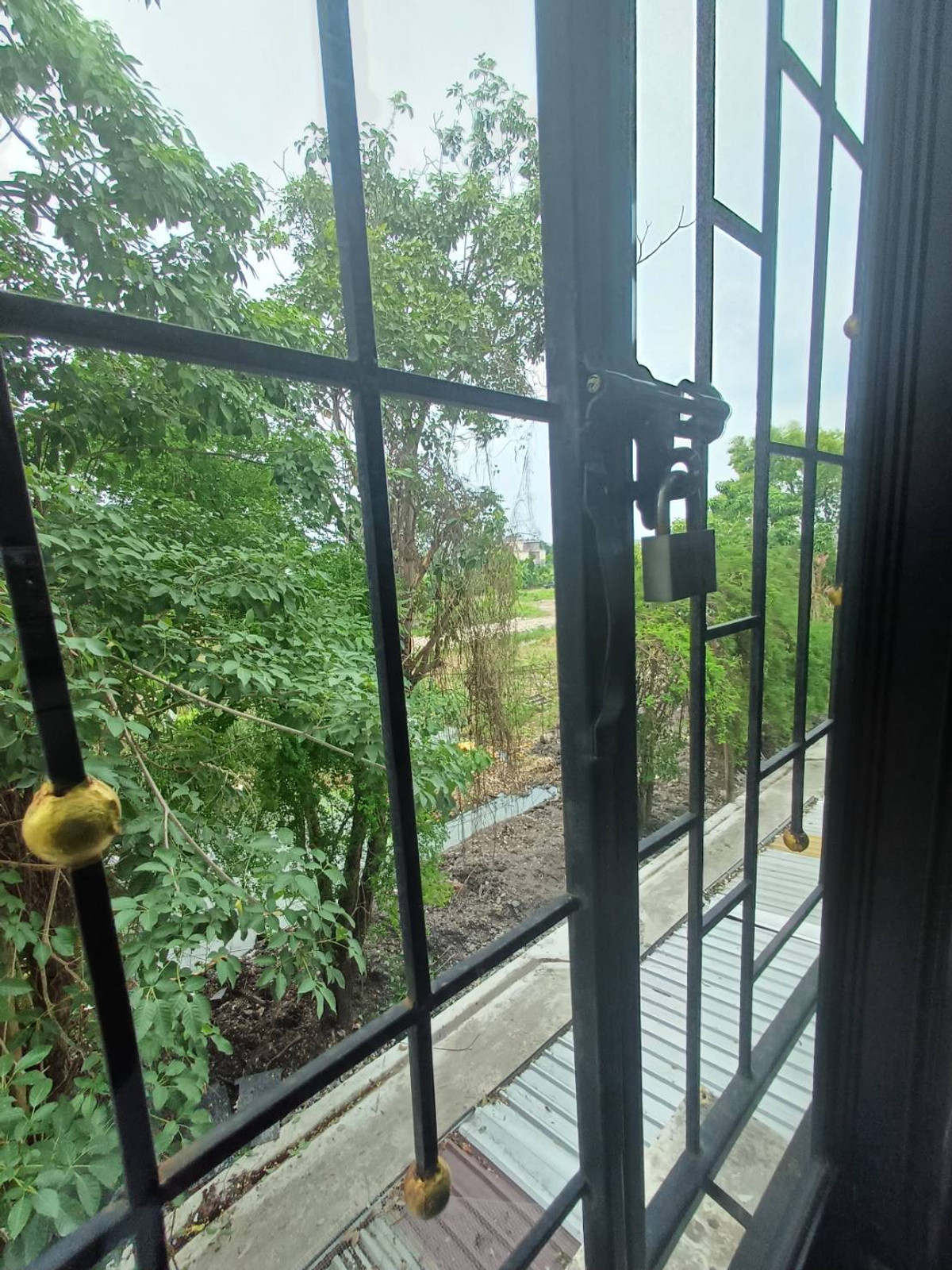 ให้เช่าอาคารพาณิชย์ปทุมธานี รังสิต ธรรมศาสตร์ : ตึก 4 ชั้นให้เช่า รังสิต-คลอง1 | ทำธุรกิจ + อยู่อาศัยได้ในที่เดียว  JSP City | เหมาะทำออฟฟิศ ร้านค้า ครบฟังก์ชัน