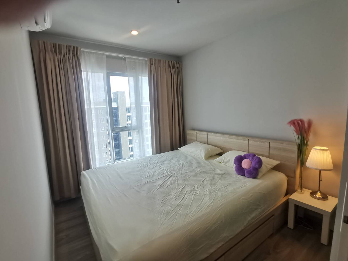 ให้เช่าคอนโดบางนา แบริ่ง ลาซาล : 🧡⚡️Regent Home Bangna⚡️🧡 1 Bed 1 Bath, Rent Price : 9,500  Baht