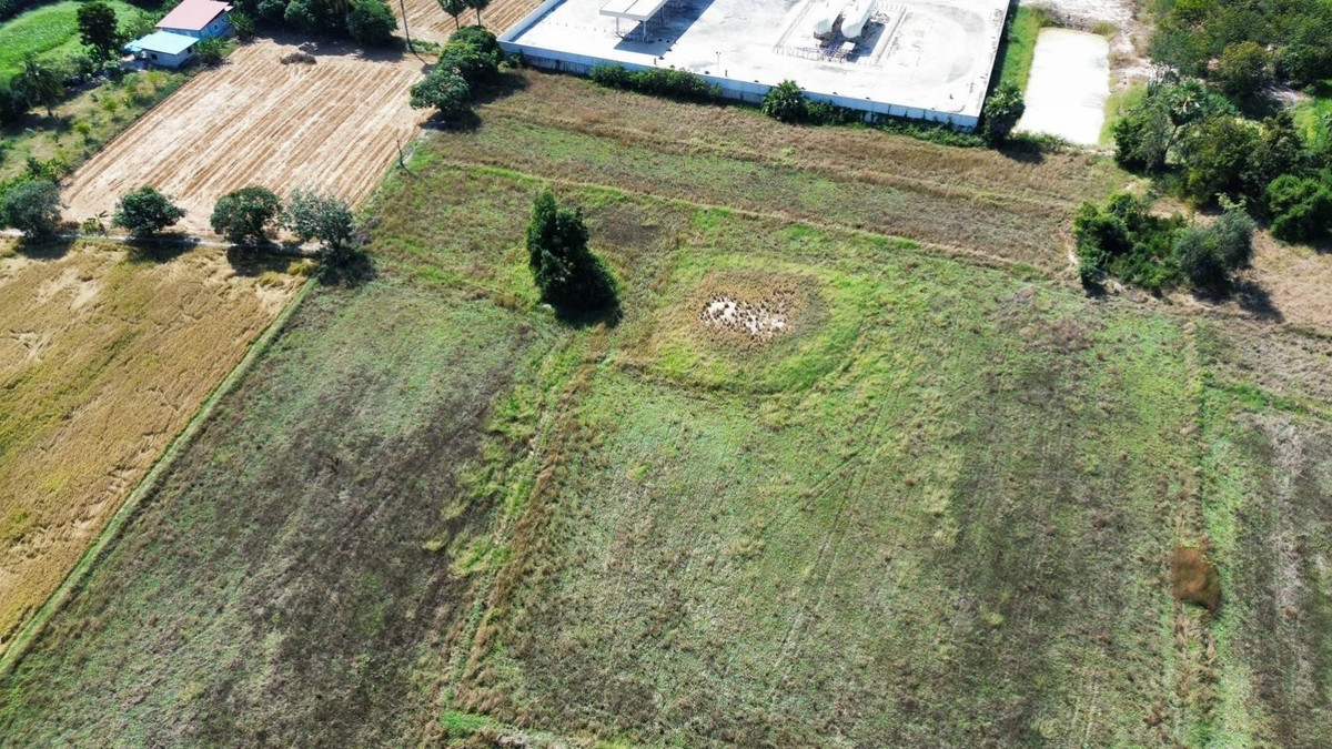 LandNakhon Sawan : 🔥 Land in Nong Kradon Nakhon Sawan 33-2-79 Rai, Pink Layout, Near Asian Highway!!!!!!!!!