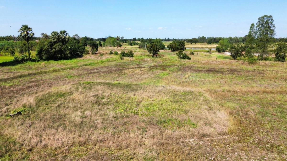 LandNakhon Sawan : 🔥 Land in Nong Kradon Nakhon Sawan 33-2-79 Rai, Pink Layout, Near Asian Highway!!!!!!!!!