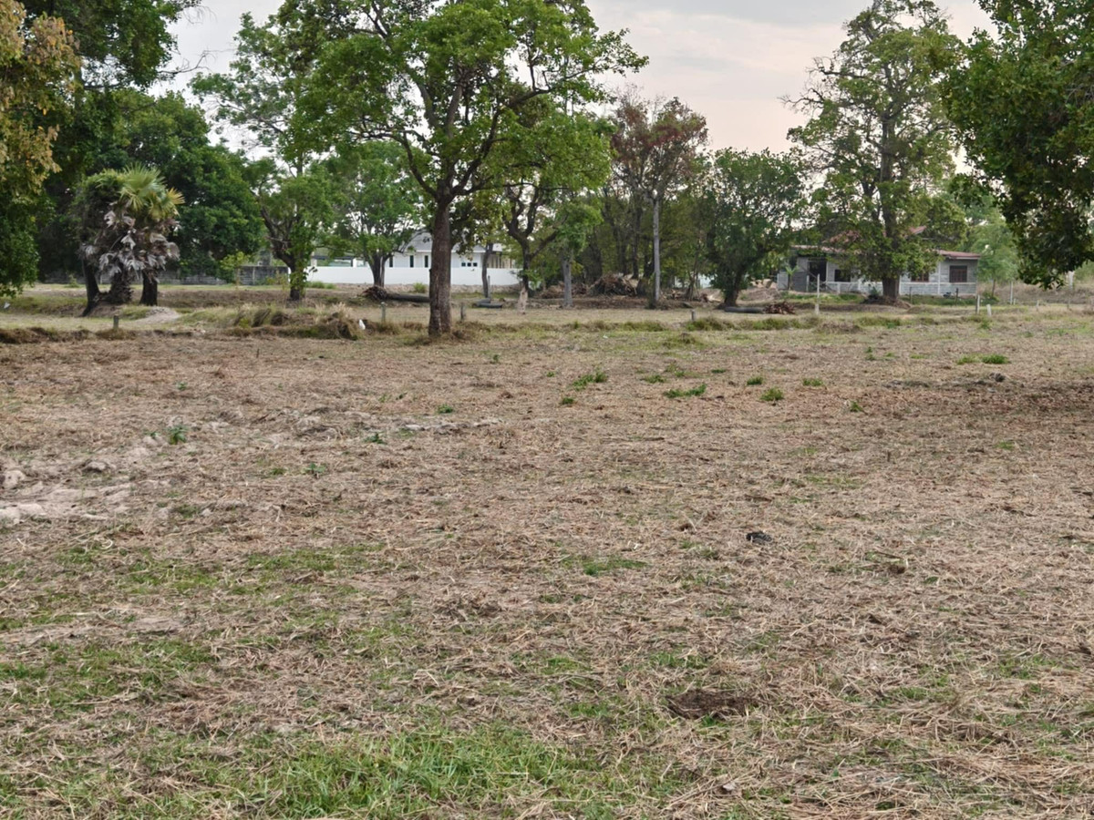 ขายที่ดินอุบลราชธานี : ขายที่ดินถมแล้ว อุบลราชธานี เพียง 1.5 ลบ. ฟรีโอน ** ราคาดีมาก เหมาะซื้อเก็บหรือสร้างบ้านทันที! (N.2029)