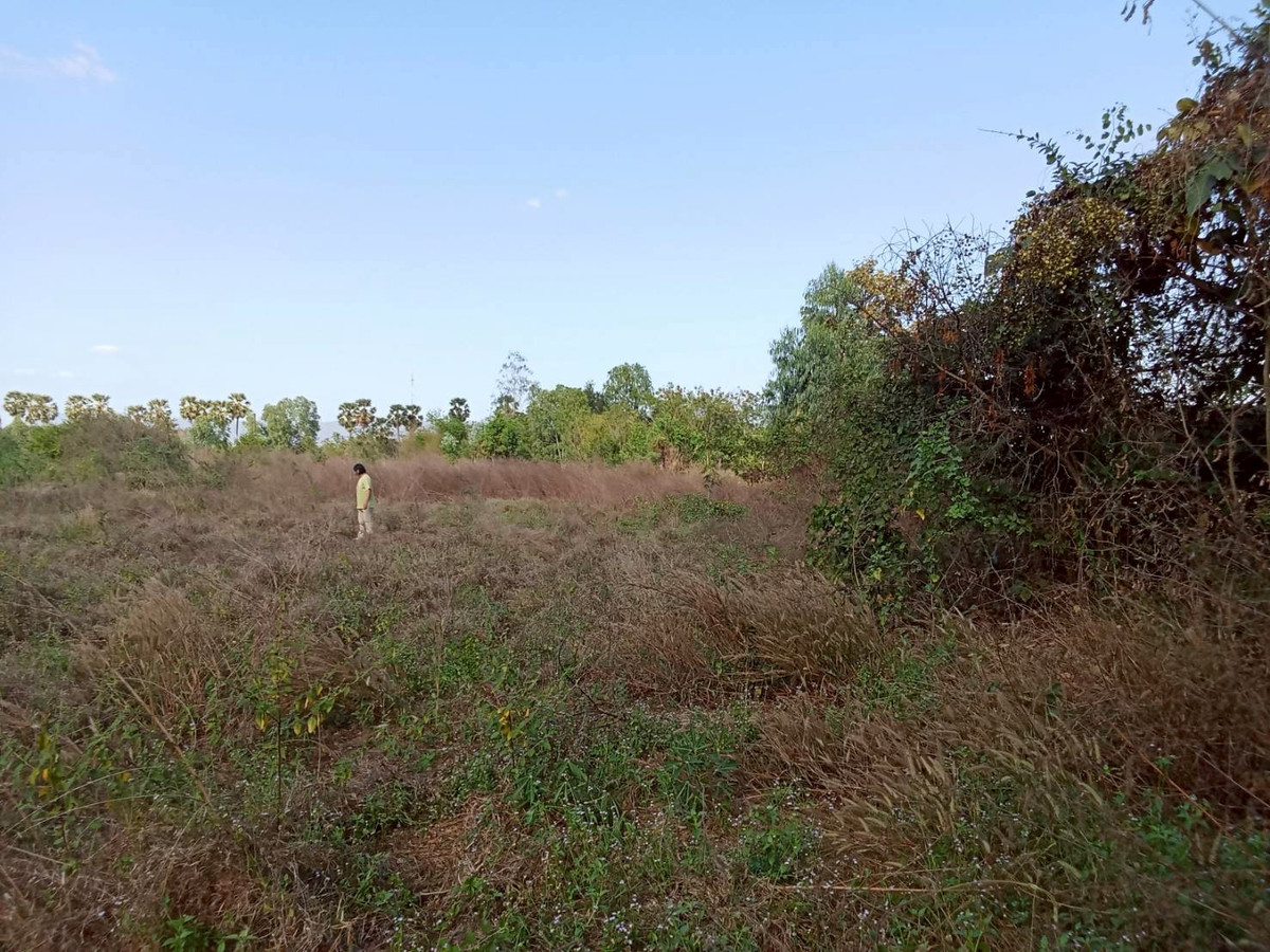 For SaleLandUthai Thani : Large plot of land for sale, Thap Than District, Uthai Thani Province ** Price 299 baht/wa ** (N.2032)