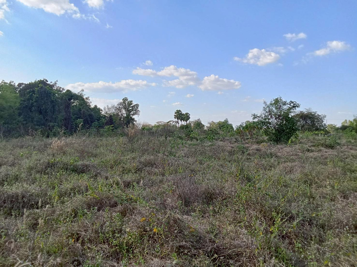 ขายที่ดินอุทัยธานี : ขายที่ดินแปลงใหญ่ อำเภอทัพทัน จังหวัดอุทัยธานี ** ราคา 299 บาท/วา ** (N.2032)