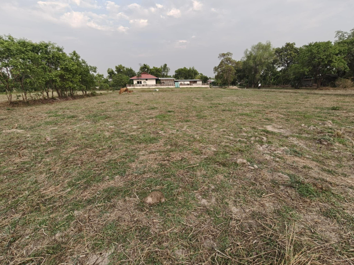 ขายที่ดินอุบลราชธานี : ขายที่ดินถมแล้ว อุบลราชธานี เพียง 1.5 ลบ. ฟรีโอน ** ราคาดีมาก เหมาะซื้อเก็บหรือสร้างบ้านทันที! (N.2029)