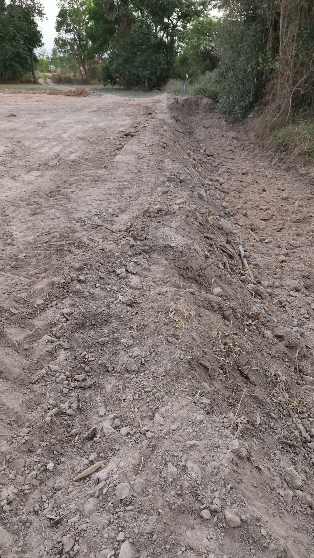 ขายที่ดินอุบลราชธานี : ขายที่ดินถมแล้ว อุบลราชธานี เพียง 1.5 ลบ. ฟรีโอน ราคาดีมาก เหมาะซื้อเก็บหรือสร้างบ้านทันที! (N.2028)